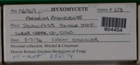 Image Associated With the Occurence